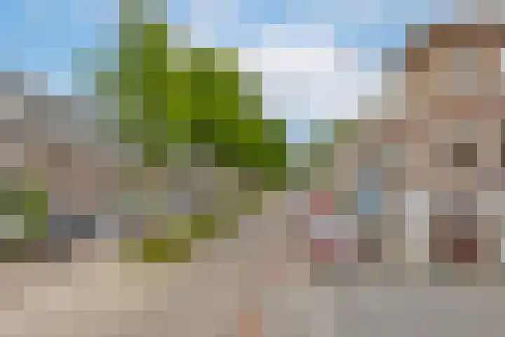 Hortensiastraat 211 Den Haag thumbnail 16