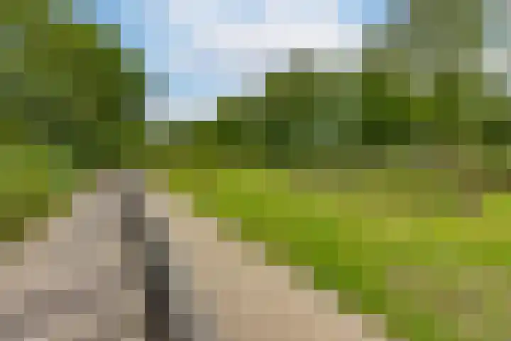 Hortensiastraat 211 Den Haag thumbnail 18