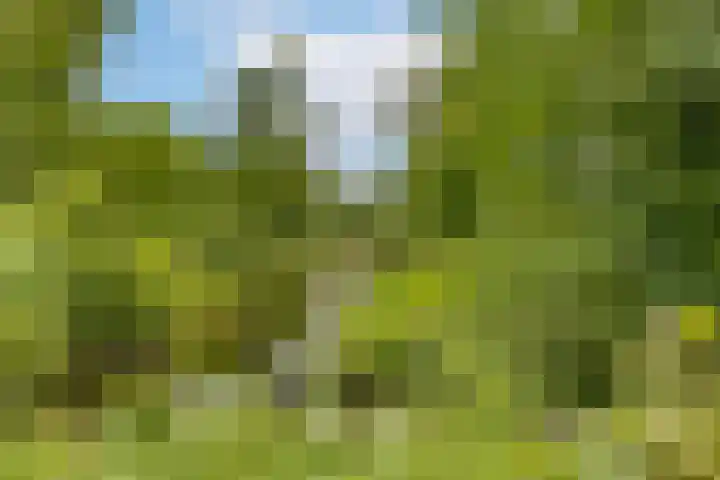 Hortensiastraat 211 Den Haag thumbnail 19