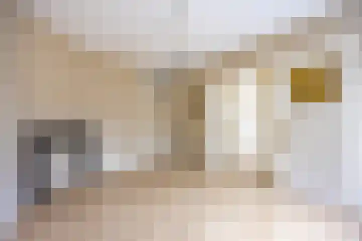 Hortensiastraat 211 Den Haag thumbnail 4