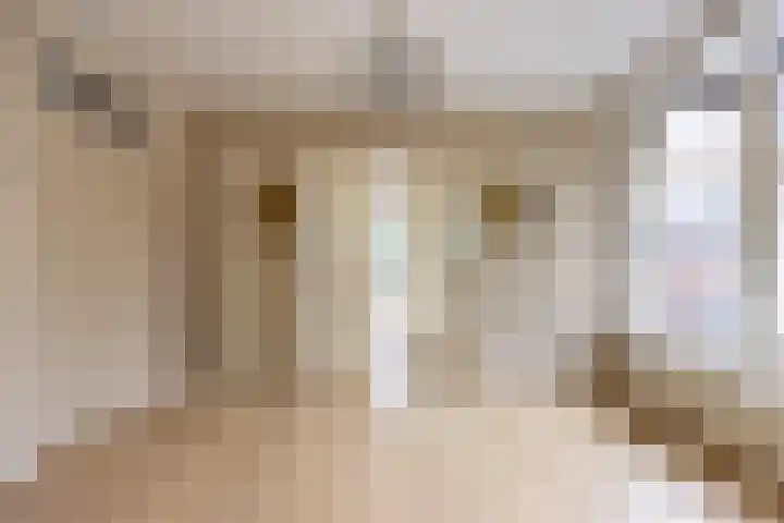 Hortensiastraat 211 Den Haag thumbnail 6