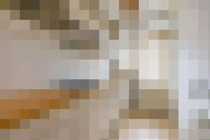 Hortensiastraat 211 Den Haag thumbnail 8