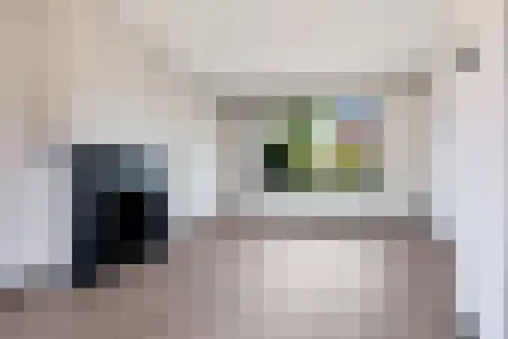 Hortensiastraat 22 Assen thumbnail 14
