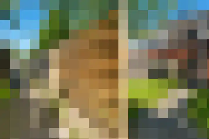 Hortensiastraat 22 Assen thumbnail 33