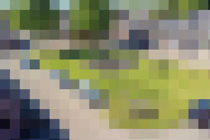 Hortensiastraat 22 Assen thumbnail 5