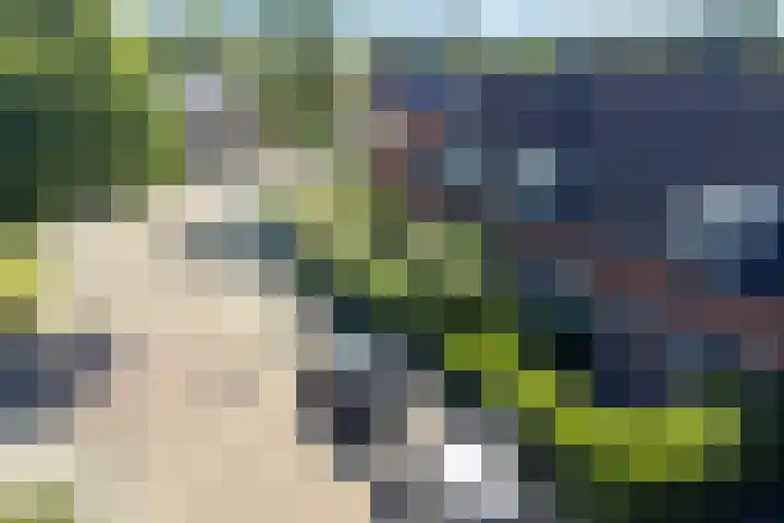 Hortensiastraat 22 Assen thumbnail 6