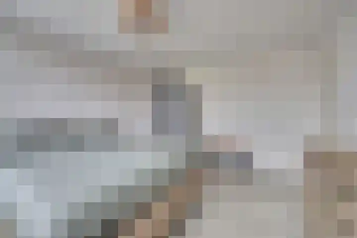 Hortensiastraat 22 Monster thumbnail 14