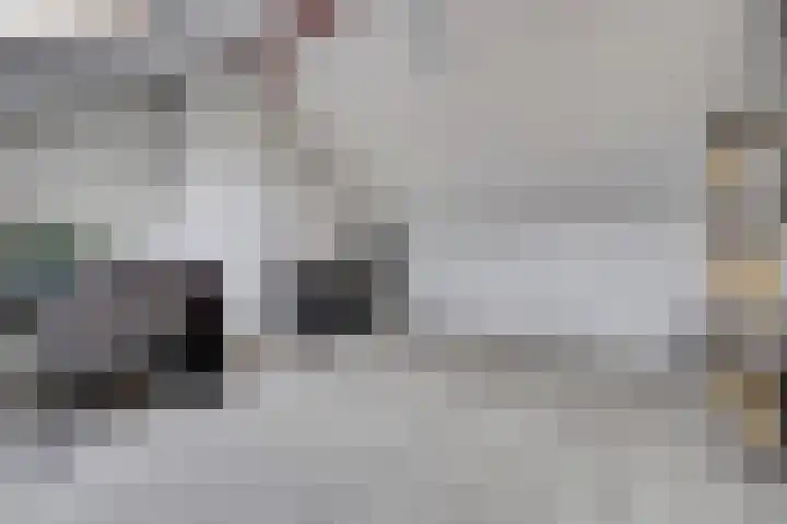 Hortensiastraat 22 Monster thumbnail 19
