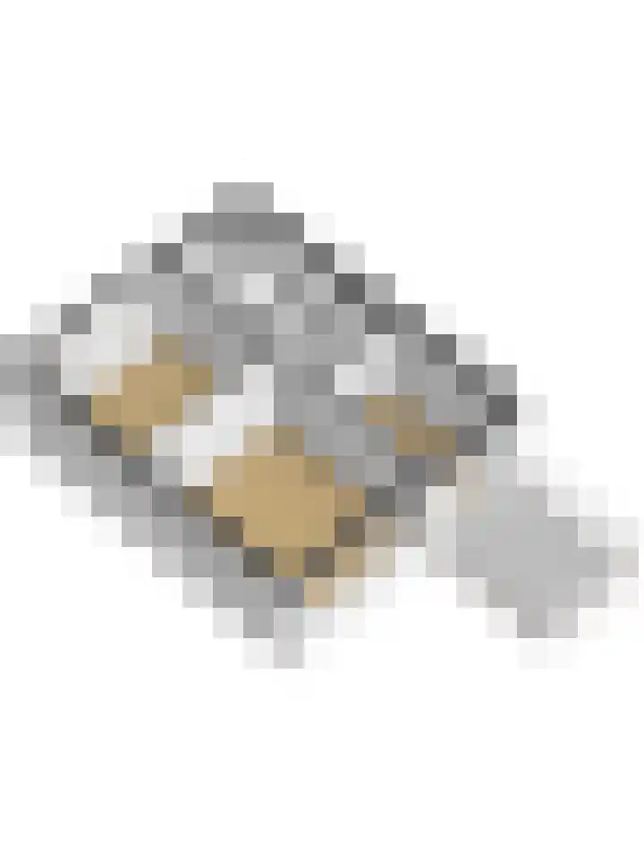 Hortensiastraat 22 Monster thumbnail 38