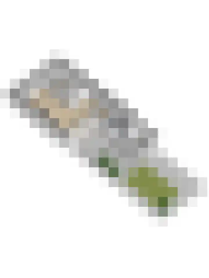 Hortensiastraat 22 Monster thumbnail 42