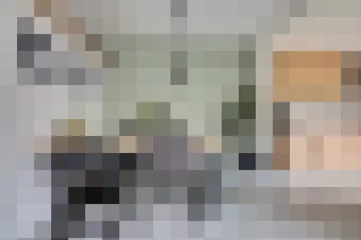 Hortensiastraat 22 Monster thumbnail 8
