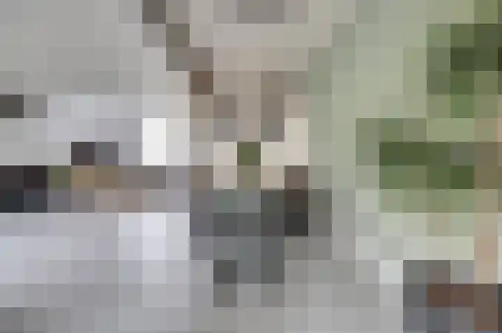 Hortensiastraat 22 Monster thumbnail 9
