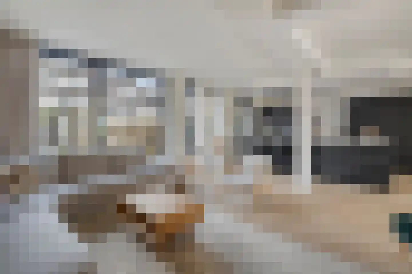 Hortensiastraat 22 Woerden thumbnail 10