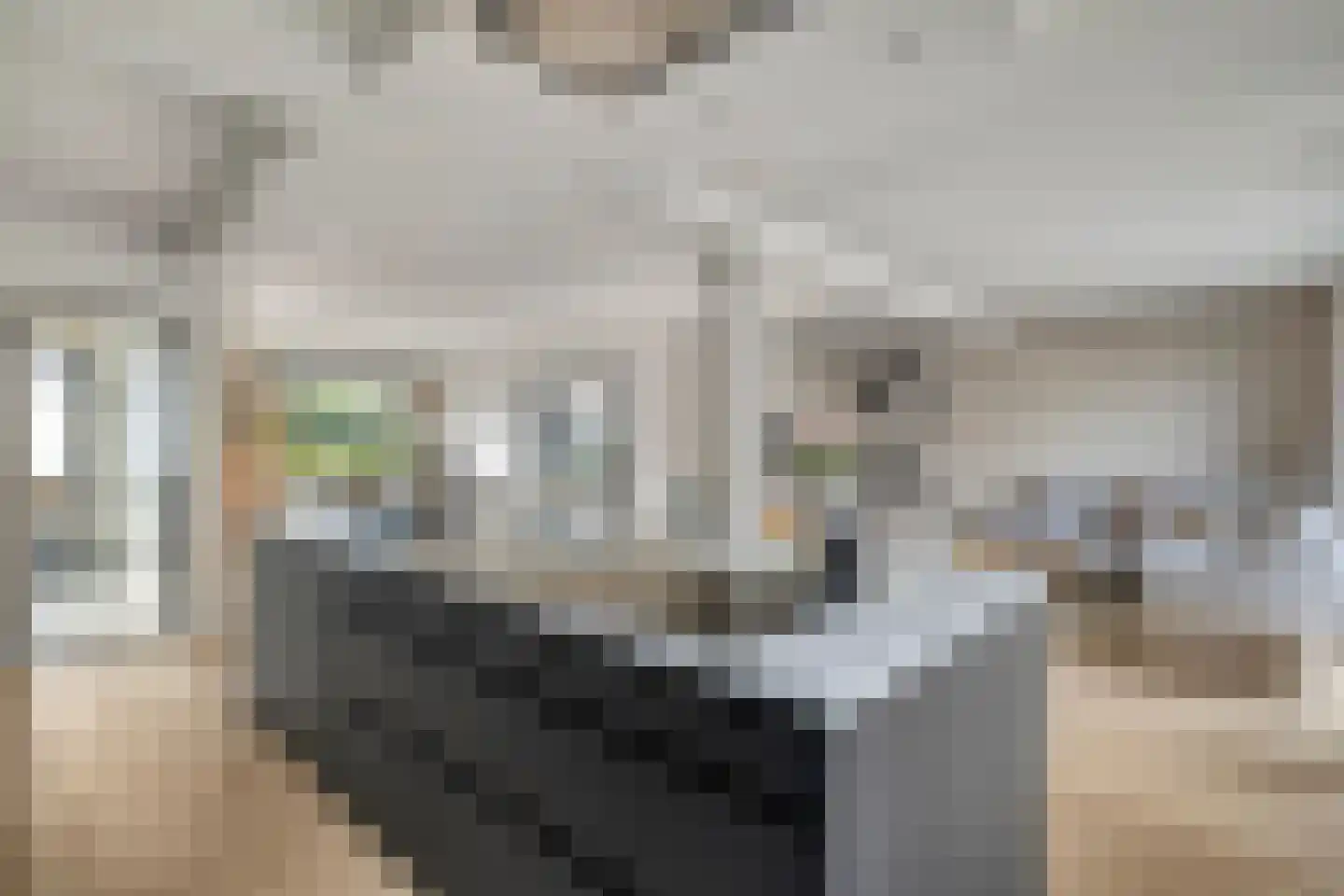 Hortensiastraat 22 Woerden thumbnail 14
