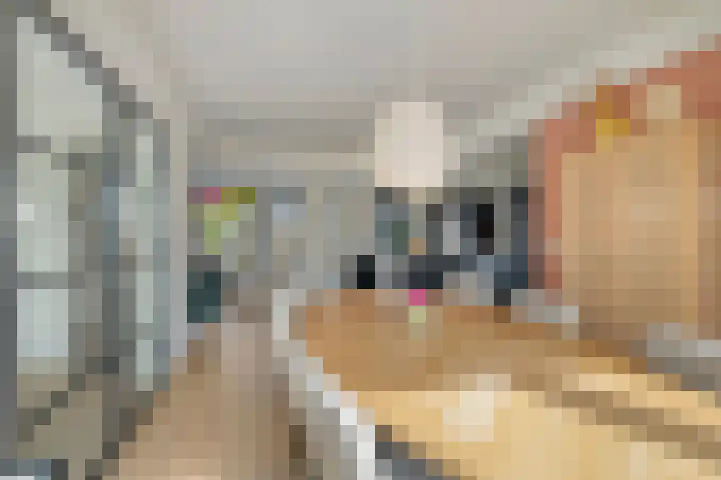 Hortensiastraat 22 Woerden thumbnail 16