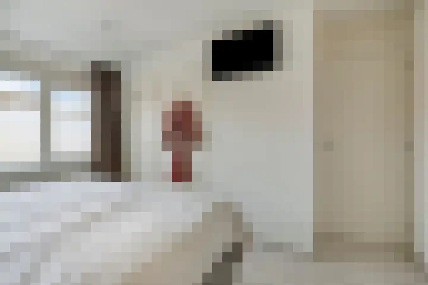 Hortensiastraat 22 Woerden thumbnail 21
