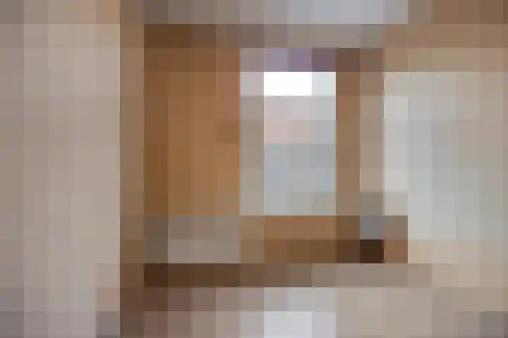Hortensiastraat 220 Den Haag thumbnail 10