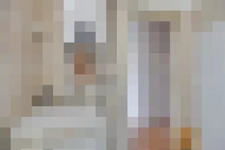 Hortensiastraat 220 Den Haag thumbnail 15