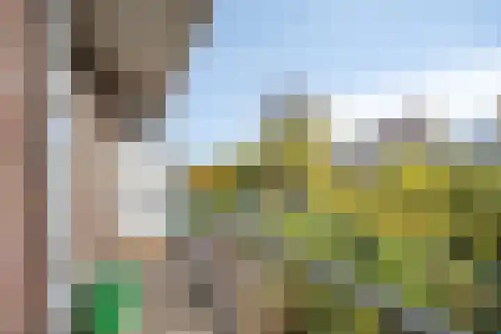 Hortensiastraat 220 Den Haag thumbnail 16
