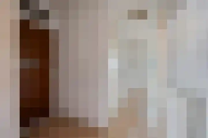 Hortensiastraat 220 Den Haag thumbnail 20