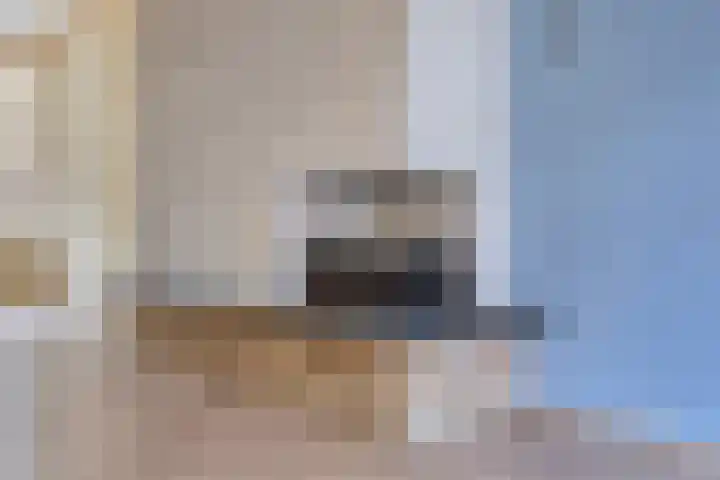 Hortensiastraat 220 Den Haag thumbnail 5