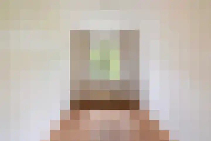 Hortensiastraat 222 Den Haag thumbnail 13