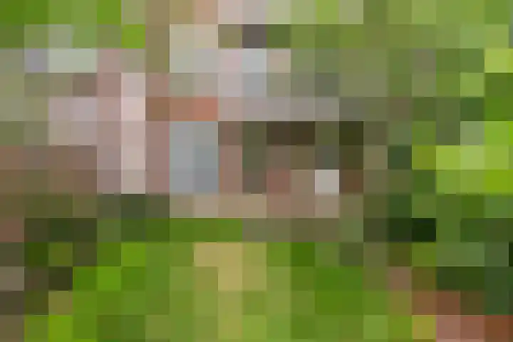 Hortensiastraat 222 Den Haag thumbnail 21