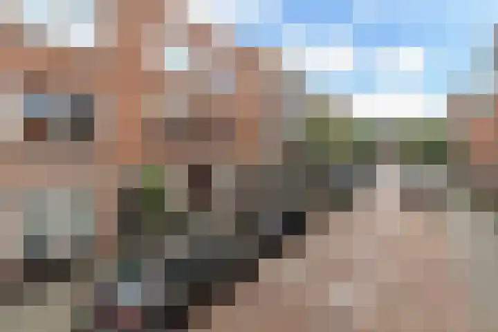 Hortensiastraat 222 Den Haag thumbnail 22
