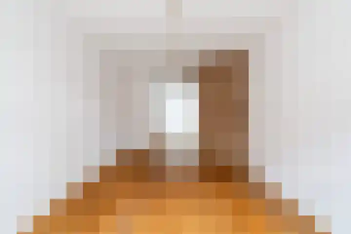 Hortensiastraat 222 Den Haag thumbnail 7