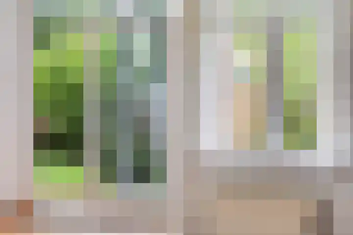 Hortensiastraat 222 Den Haag thumbnail 8