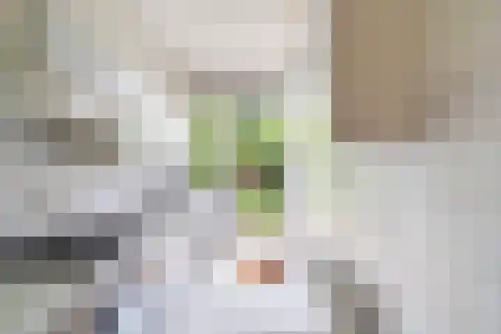 Hortensiastraat 222 Den Haag thumbnail 9