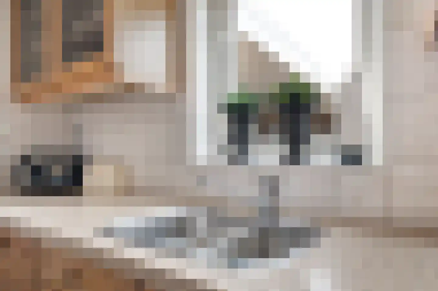 Hortensiastraat 24 Sint-Oedenrode thumbnail 17