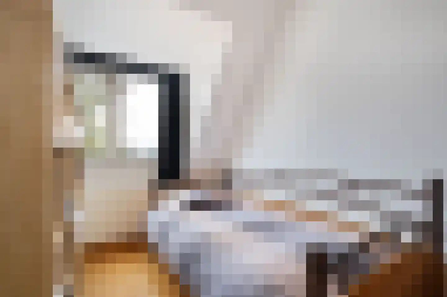 Hortensiastraat 24 Sint-Oedenrode thumbnail 30