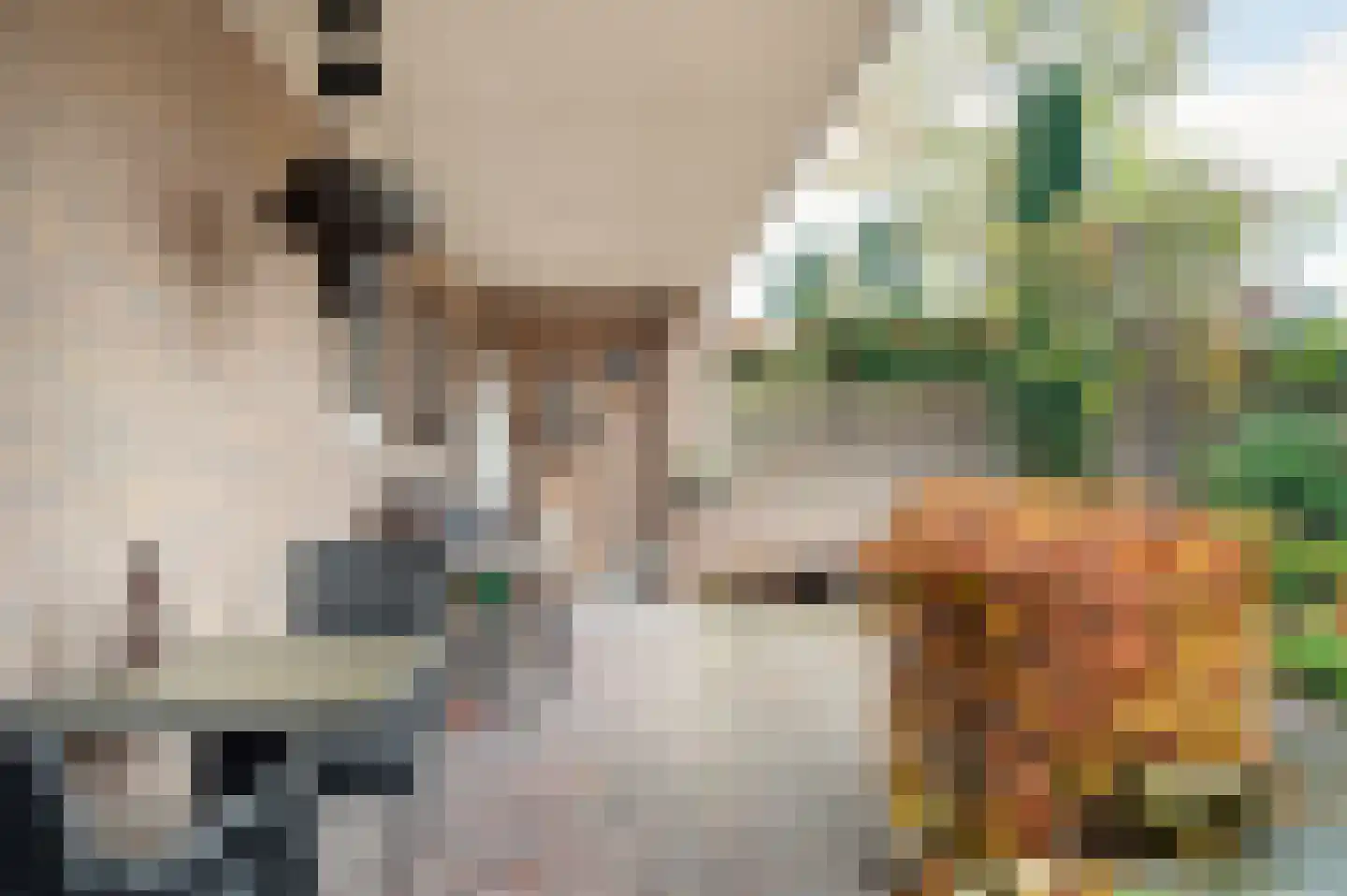Hortensiastraat 24 Sint-Oedenrode thumbnail 36
