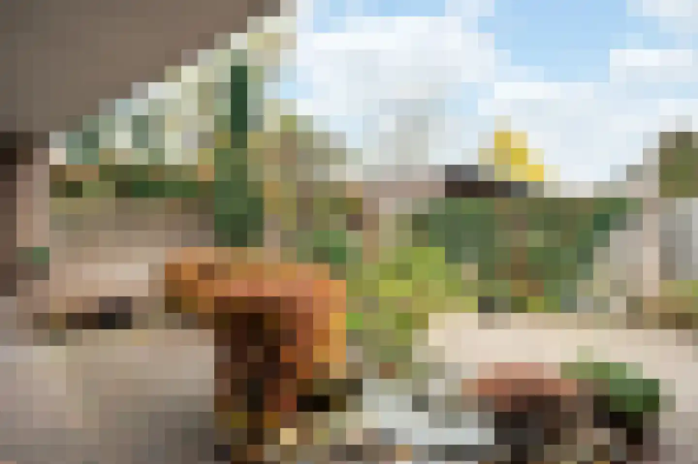 Hortensiastraat 24 Sint-Oedenrode thumbnail 37