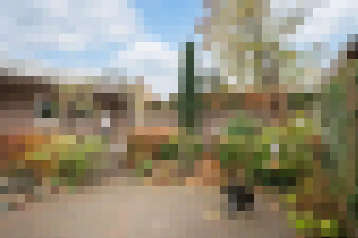 Hortensiastraat 24 Sint-Oedenrode thumbnail 38