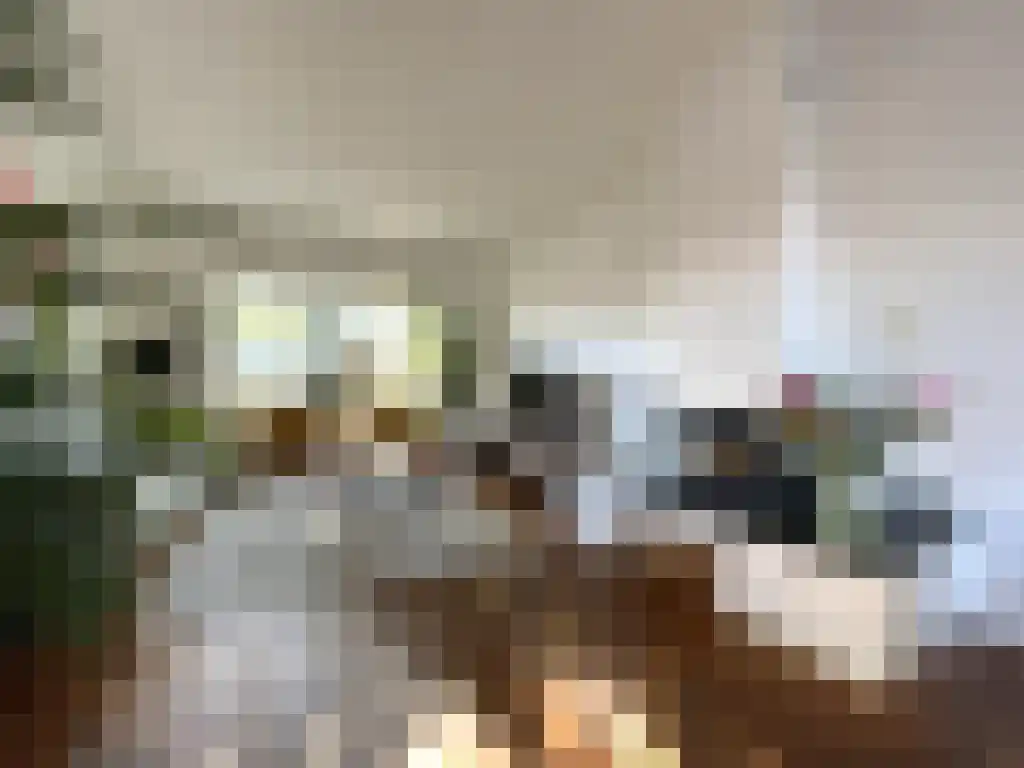 Hortensiastraat 25 Zwolle thumbnail 6