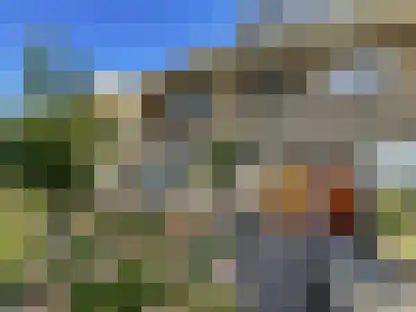 Hortensiastraat 25 Zwolle thumbnail 7