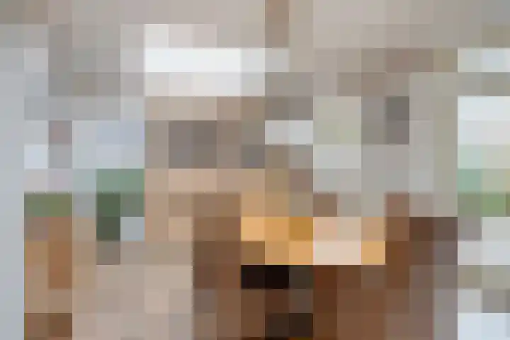 Hortensiastraat 26 Sint-Michielsgestel thumbnail 14