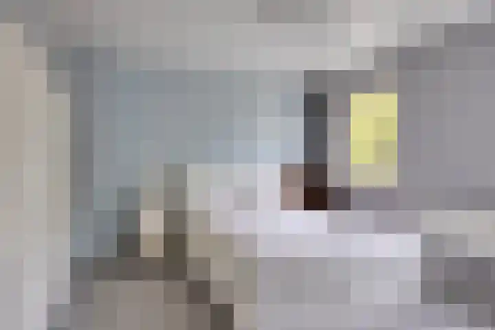 Hortensiastraat 26 Sint-Michielsgestel thumbnail 33