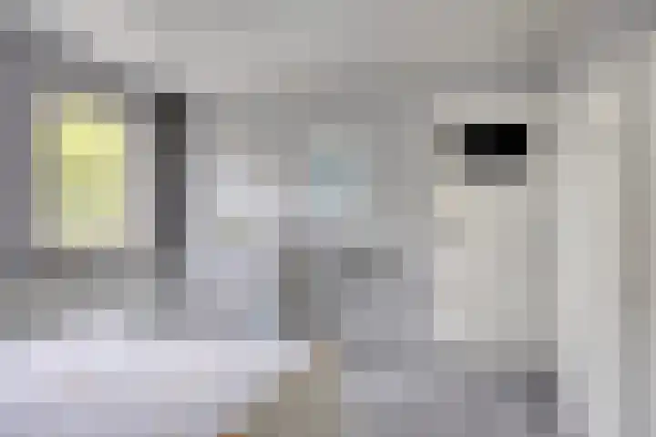 Hortensiastraat 26 Sint-Michielsgestel thumbnail 34
