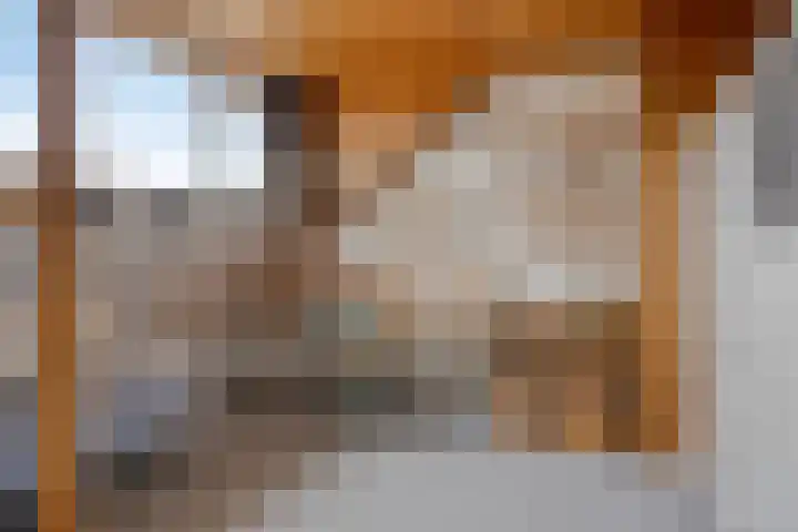 Hortensiastraat 26 Sint-Michielsgestel thumbnail 35