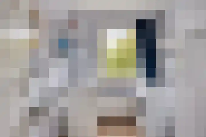 Hortensiastraat 26 Sint-Michielsgestel thumbnail 37