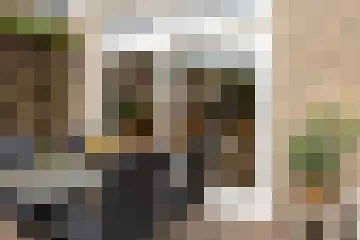 Hortensiastraat 26 Sint-Michielsgestel thumbnail 38