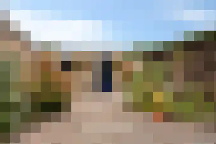 Hortensiastraat 26 Sint-Michielsgestel thumbnail 39