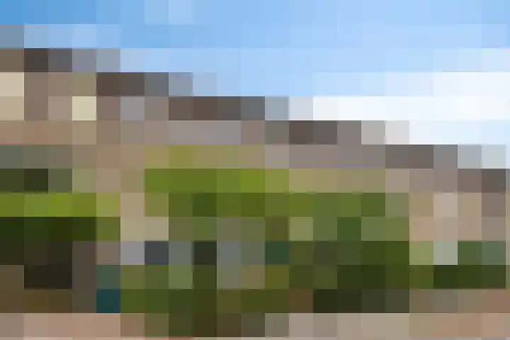 Hortensiastraat 26 Sint-Michielsgestel thumbnail 4