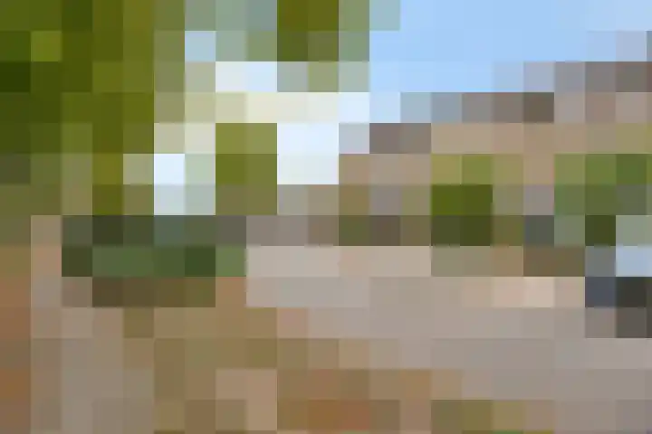 Hortensiastraat 26 Sint-Michielsgestel thumbnail 42