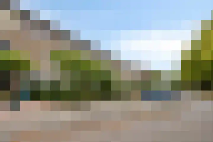 Hortensiastraat 26 Sint-Michielsgestel thumbnail 43