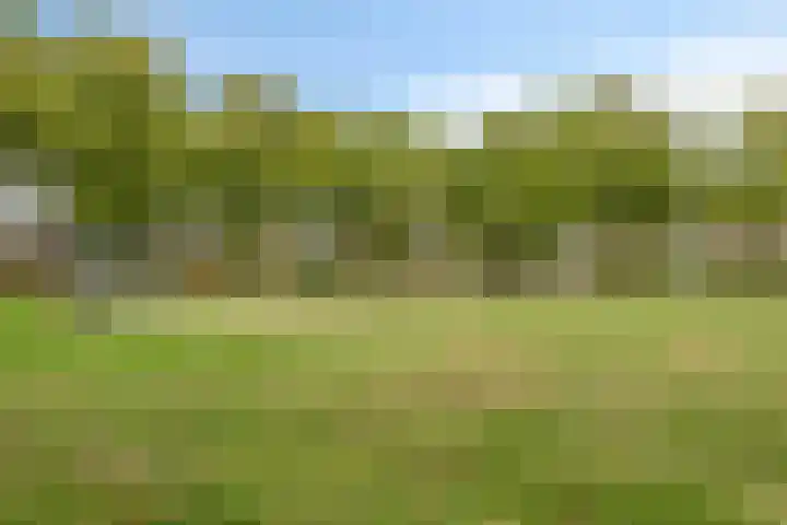 Hortensiastraat 26 Sint-Michielsgestel thumbnail 44