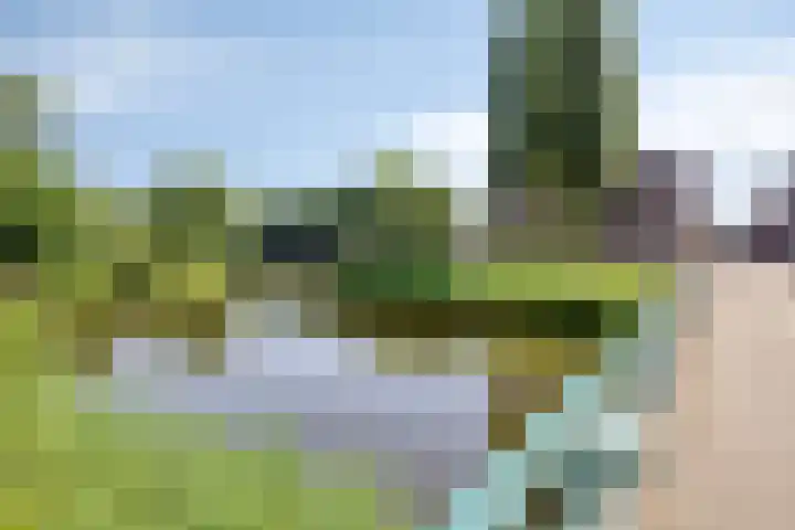 Hortensiastraat 26 Sint-Michielsgestel thumbnail 46